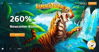 lucky tiger casino reviews|Lucky Tiger Casino Review: Pros, Cons, Bonuses & More.